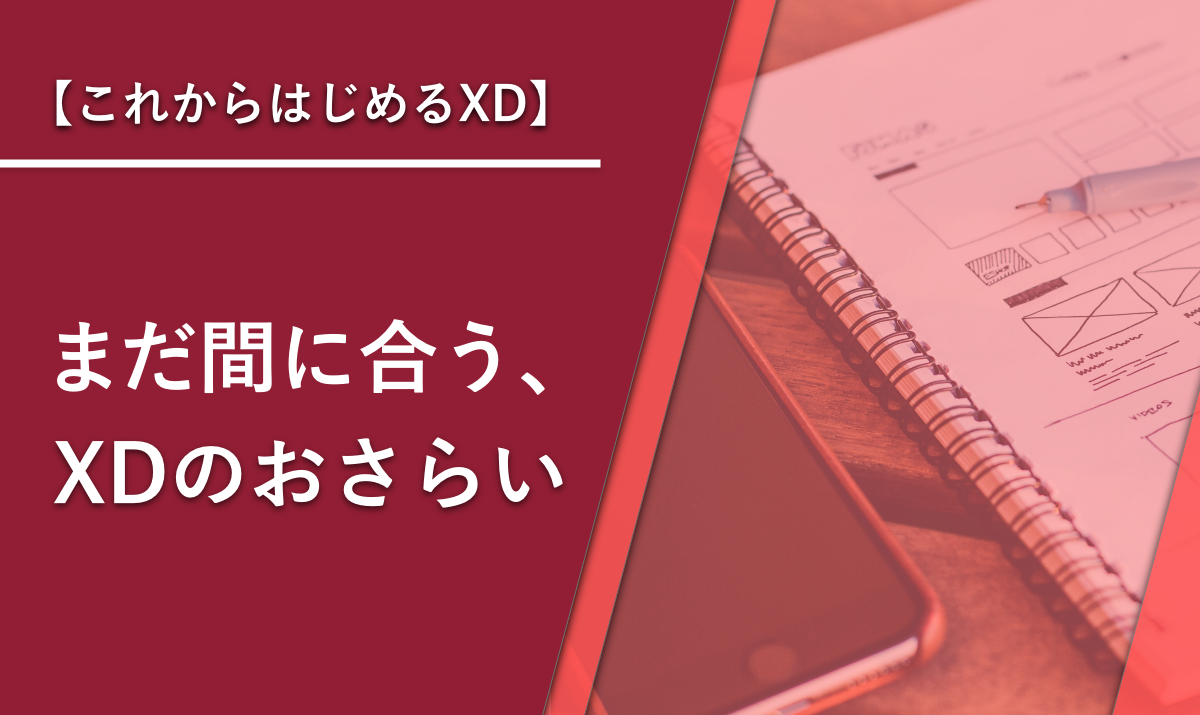 これからはじめるXD